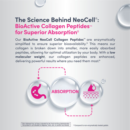 Advanced Collagen Peptides + Hyaluronic Acid + C, 13.7 oz (390 g) Powder