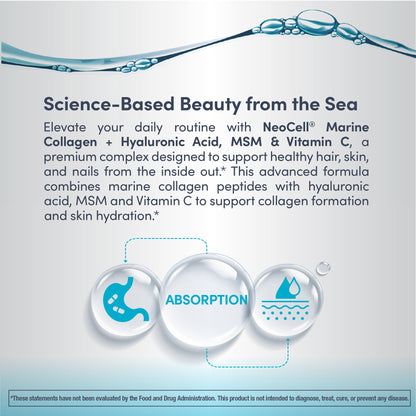 Marine Collagen Peptides + Hyaluronic Acid, MSM & C, 7 oz (200 g) Powder