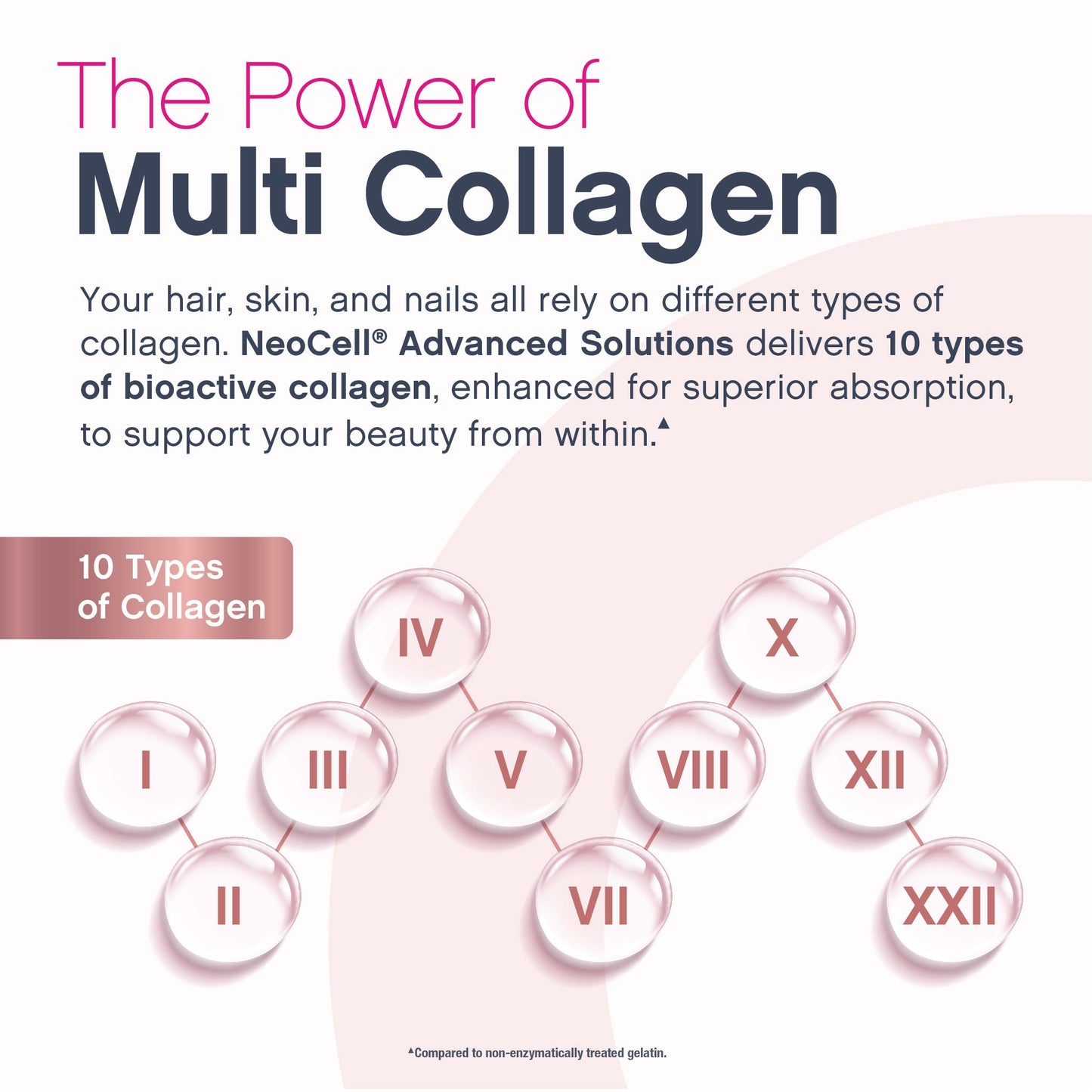 Multi Collagen Bio-Peptides Unflavored, 20 Stick Packs