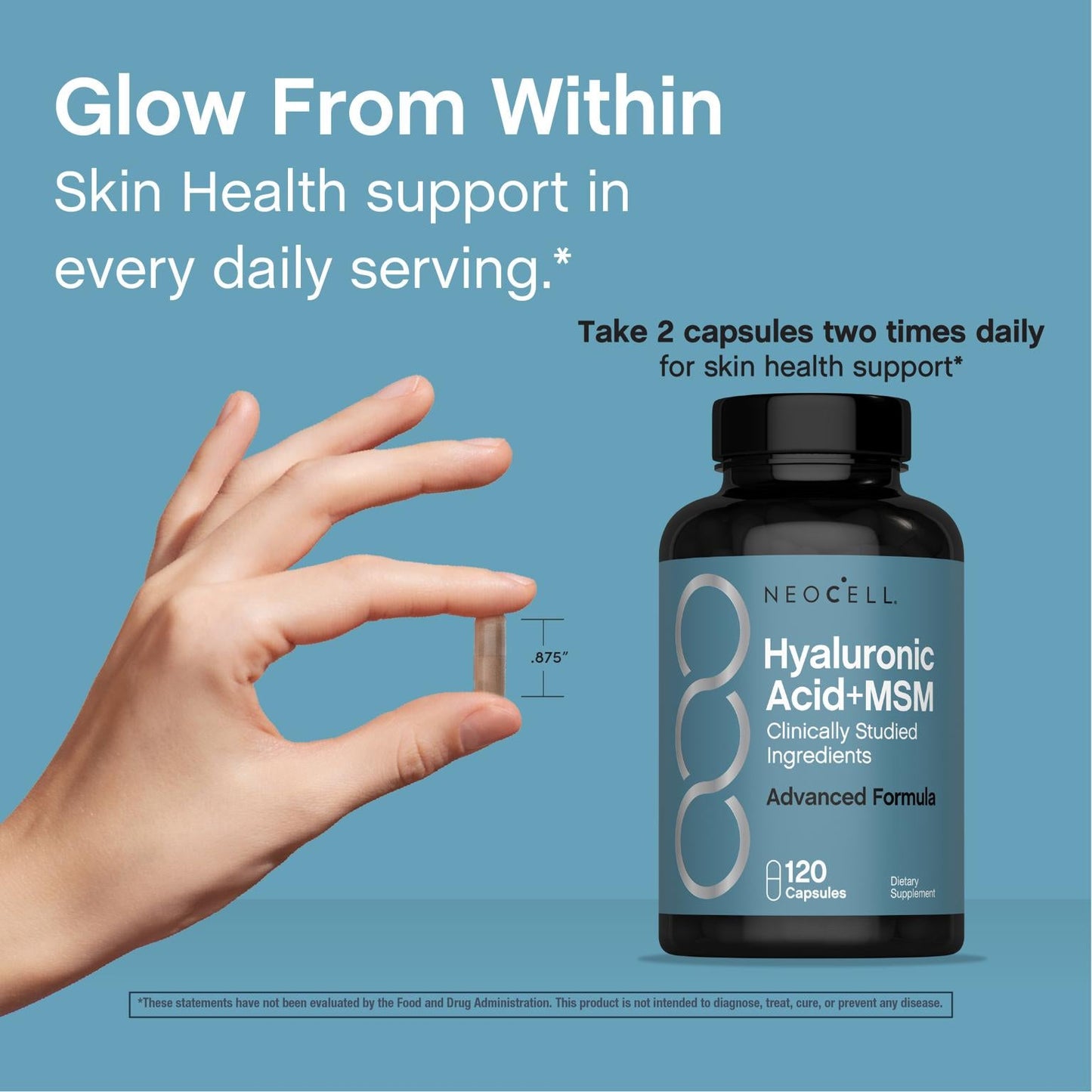 Hyaluronic Acid + MSM, 120 Capsules