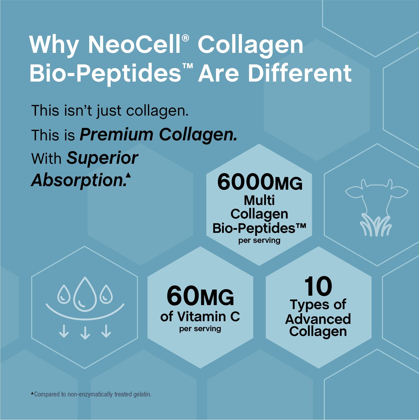 Multi Collagen Bio-Peptides Protein, 6000 mg, 360 Caplets