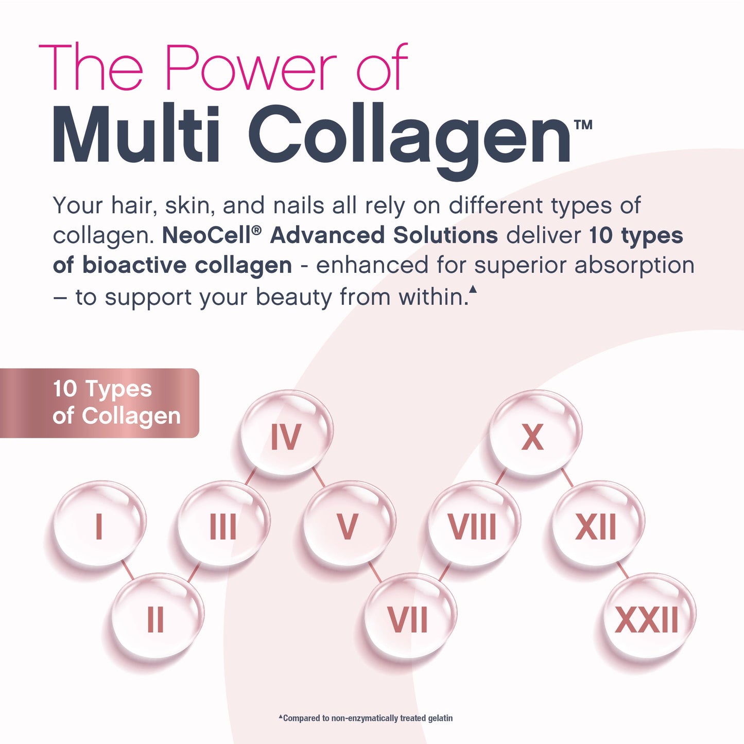Multi Collagen Bio-Peptides Protein, 6 Vials Liquid